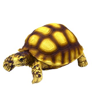 Hobby Turtle 2 (10x6x5cm)
