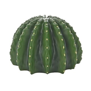 Hobby Cactus Home 4 (23x22x13,8cm)